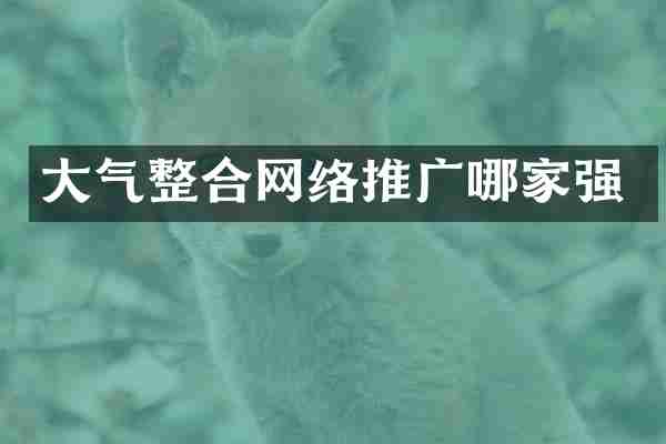 大气整合网络推广哪家强