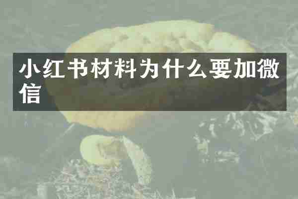 小红书材料为什么要加微信
