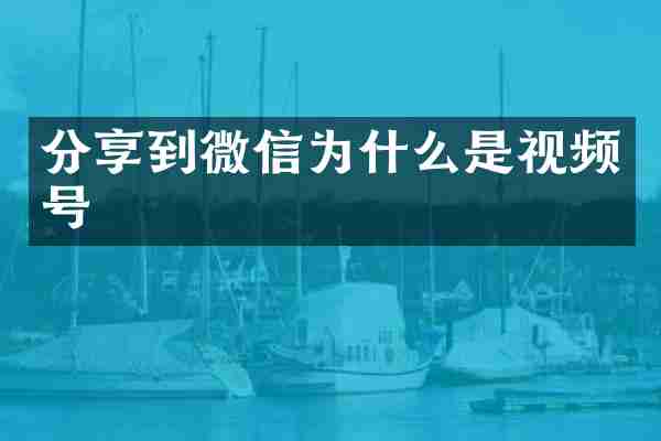 分享到微信为什么是视频号
