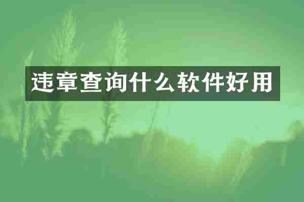 违章查询什么软件好用