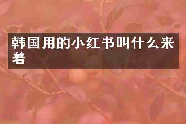 韩国用的小红书叫什么来着