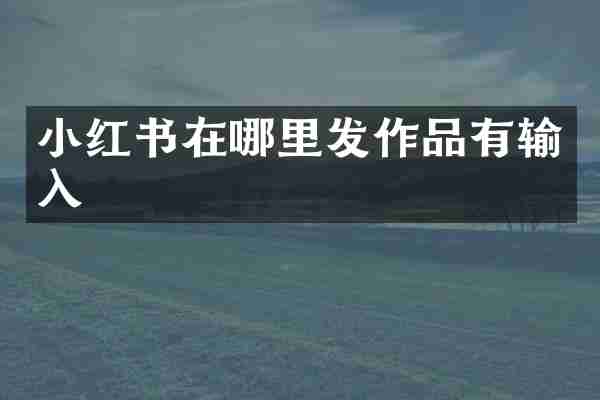 小红书在哪里发作品有输入