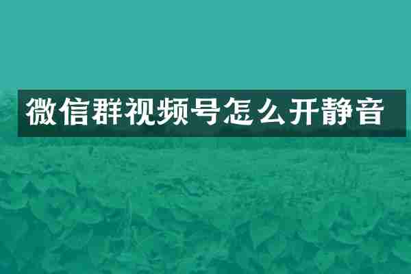 微信群视频号怎么开静音