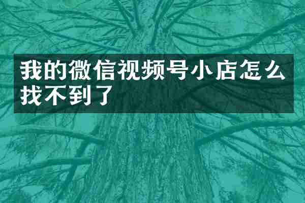 我的微信视频号小店怎么找不到了