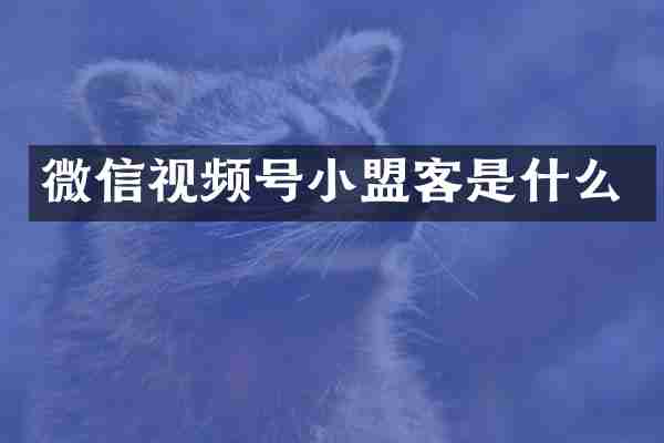 微信视频号小盟客是什么