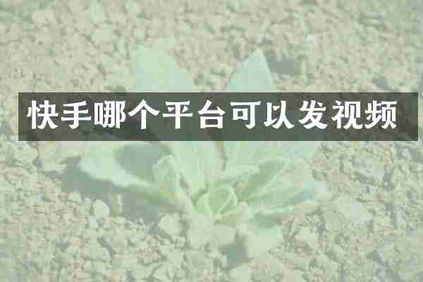 快手哪个平台可以发视频