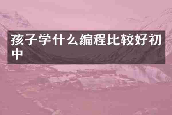 孩子学什么编程比较好初中