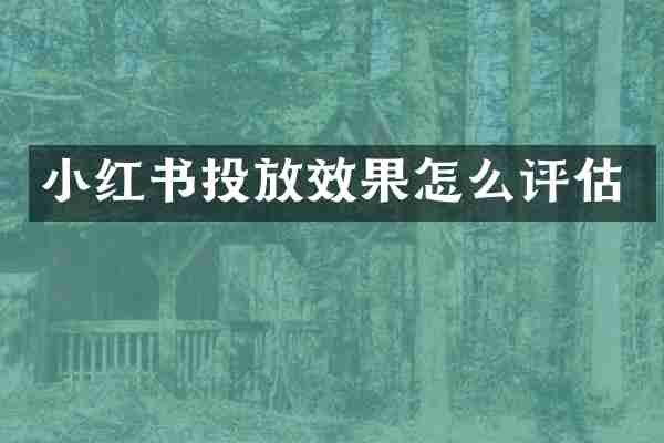 小红书投放效果怎么评估