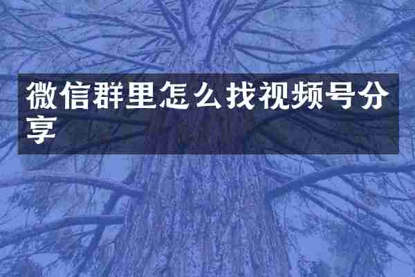 微信群里怎么找视频号分享