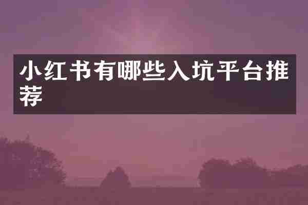 小红书有哪些入坑平台推荐