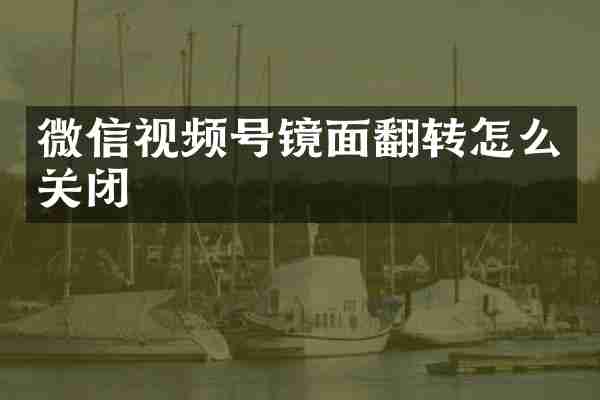 微信视频号镜面翻转怎么关闭