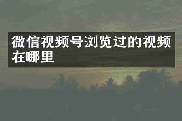 微信视频号浏览过的视频在哪里