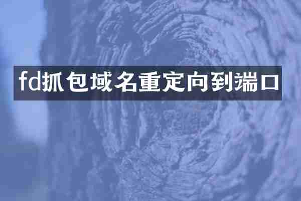 fd抓包域名重定向到端口