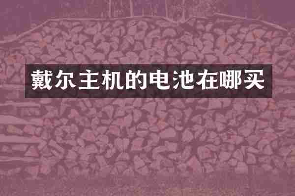戴尔主机的电池在哪买