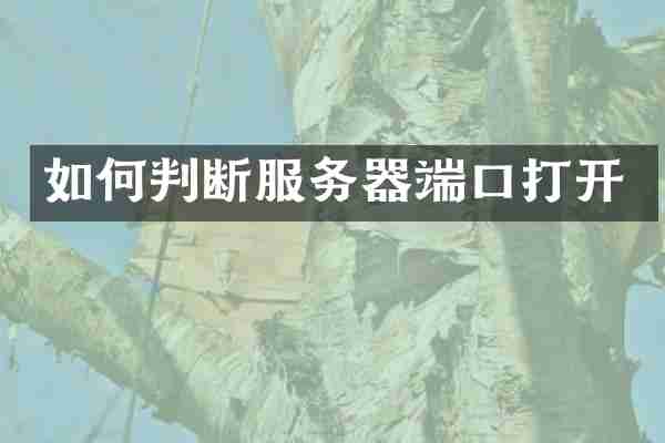 如何判断服务器端口打开