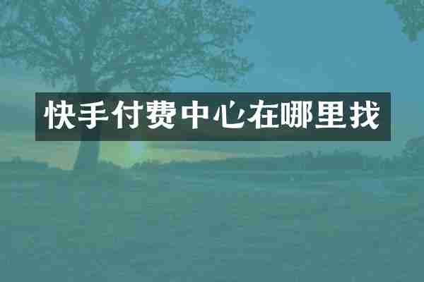 快手付费中心在哪里找