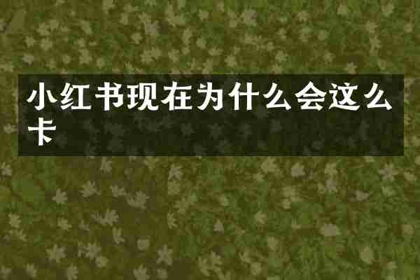 小红书现在为什么会这么卡