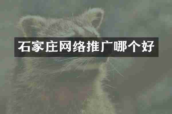 石家庄网络推广哪个好