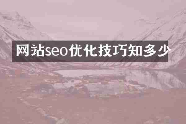 网站seo优化技巧知多少