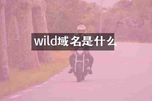 wild域名是什么