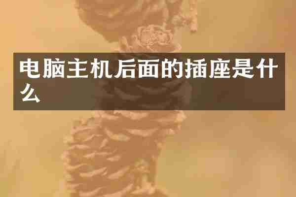 电脑主机后面的插座是什么