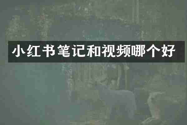 小红书笔记和视频哪个好