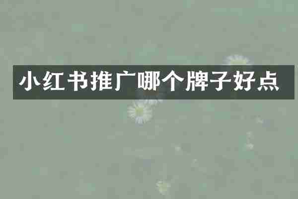 小红书推广哪个牌子好点