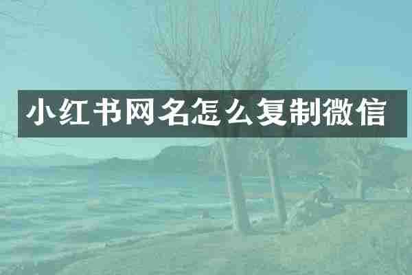 小红书网名怎么复制微信