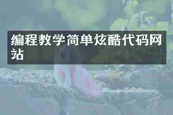 编程教学简单炫酷代码网站