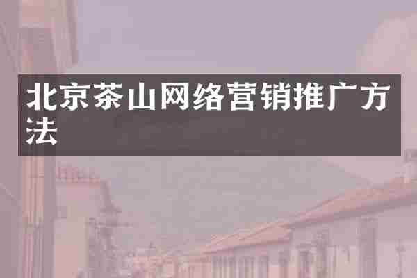 北京茶山网络营销推广方法