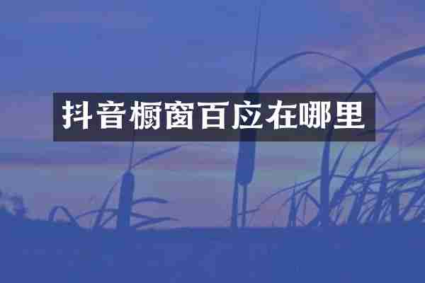 抖音橱窗百应在哪里