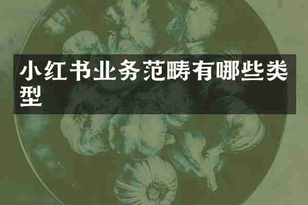 小红书业务范畴有哪些类型