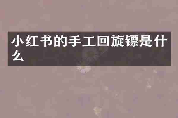 小红书的手工回旋镖是什么