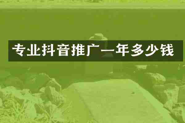 专业抖音推广一年多少钱