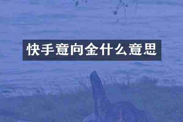 快手意向金什么意思