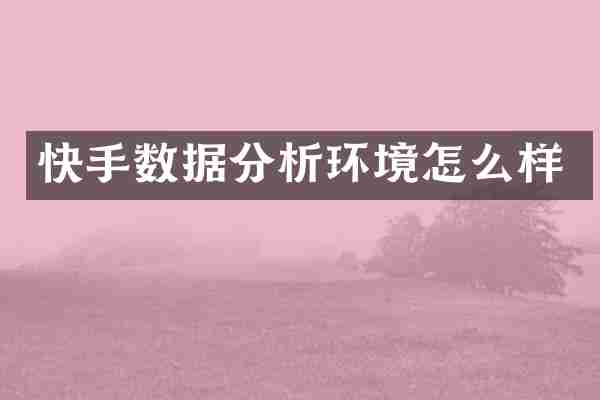 快手数据分析环境怎么样