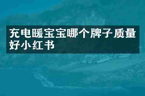 充电暖宝宝哪个牌子质量好小红书