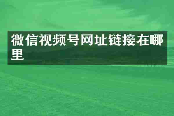 微信视频号网址链接在哪里