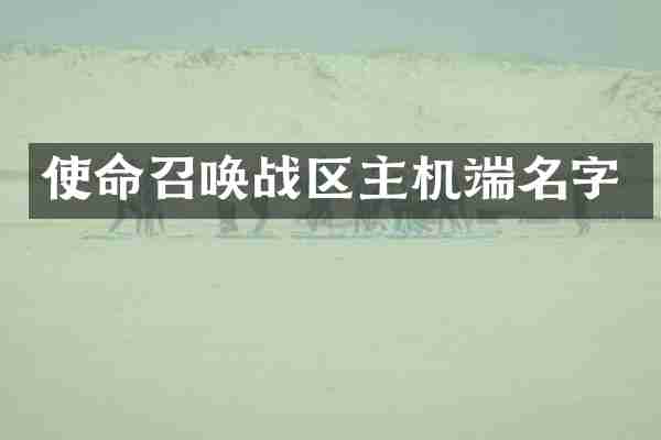 使命召唤战区主机端名字
