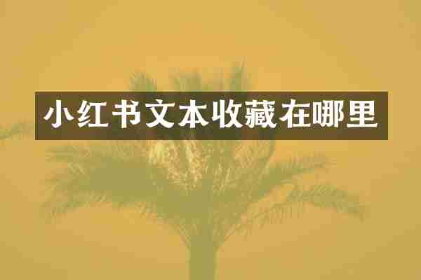 小红书文本收藏在哪里