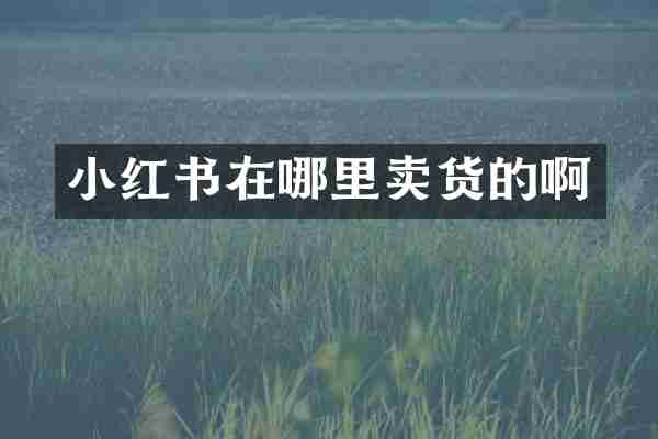 小红书在哪里卖货的啊