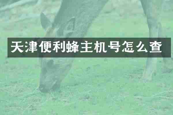 天津便利蜂主机号怎么查