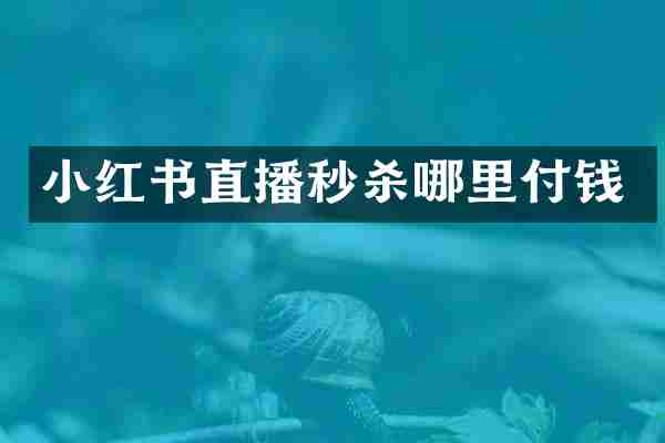 小红书直播秒杀哪里付钱