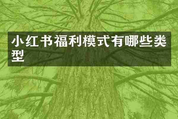 小红书福利模式有哪些类型