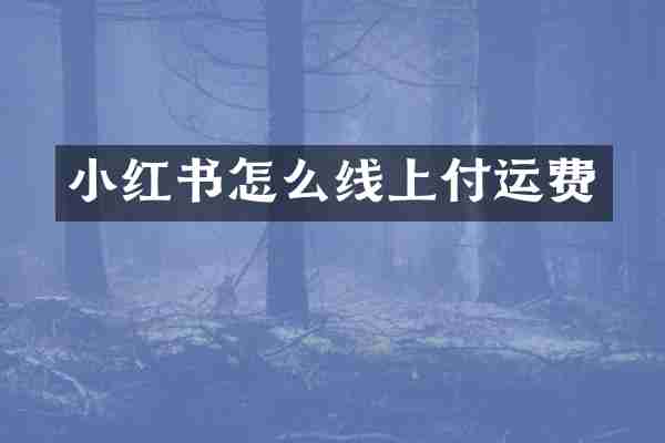小红书怎么线上付运费