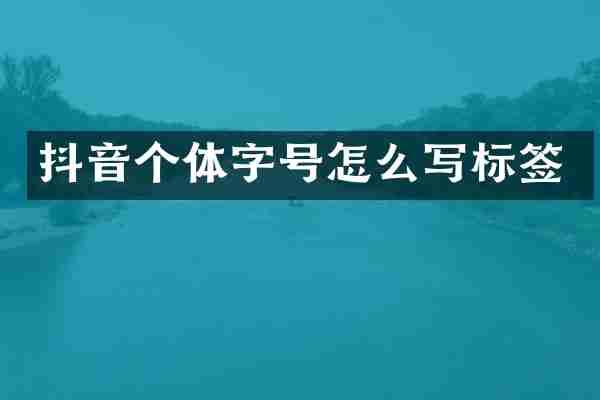 抖音个体字号怎么写标签