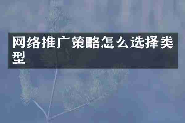 网络推广策略怎么选择类型