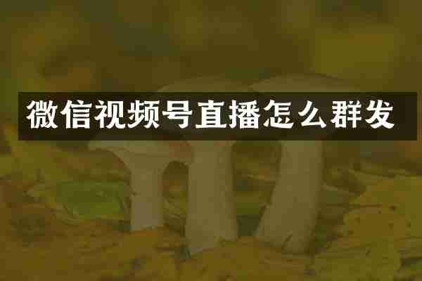 微信视频号直播怎么群发