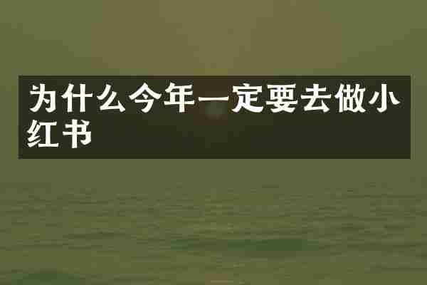 为什么今年一定要去做小红书