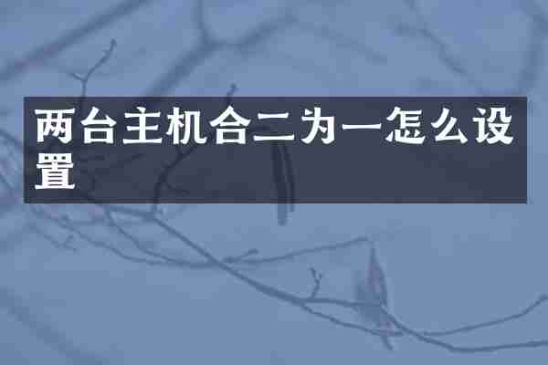 两台主机合二为一怎么设置